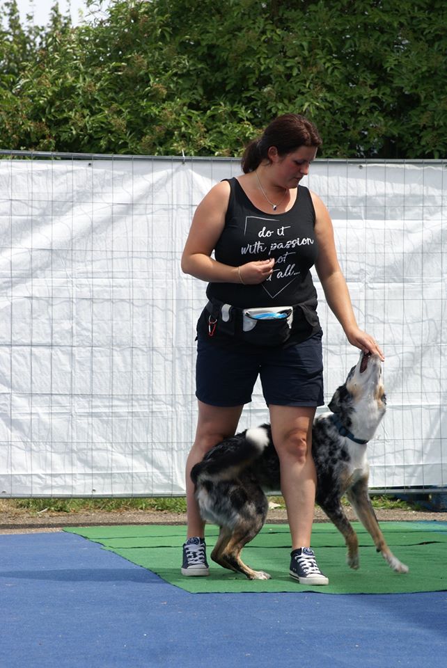 DogDancing