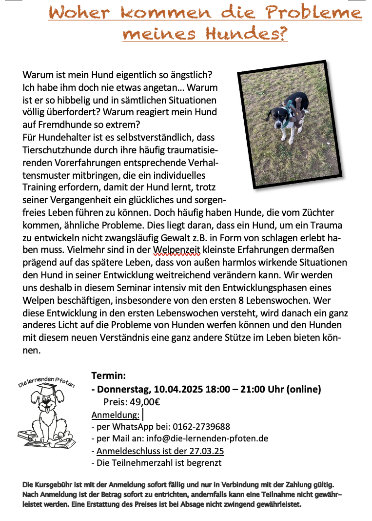 Probleme meines Hundes 25
