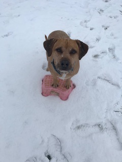 Winterprogramm