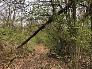 Route 3 Brandlberg
